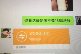 崇义如何避免债务纠纷？专业追讨公司教您应对之策